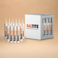 A box of SALTITE Himalayan salt wall adhesive with several white squeeze tubes arranged in front on a warm beige background.
